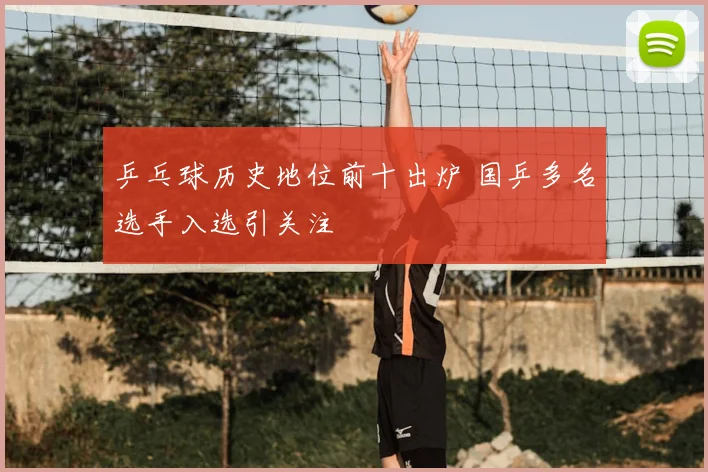 乒乓球历史地位前十出炉 国乒多名选手入选引关注