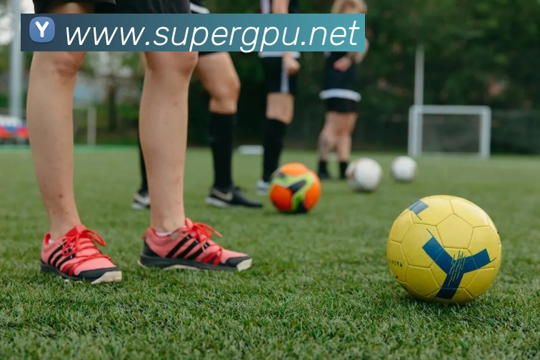 世界杯app平台APP 封面图